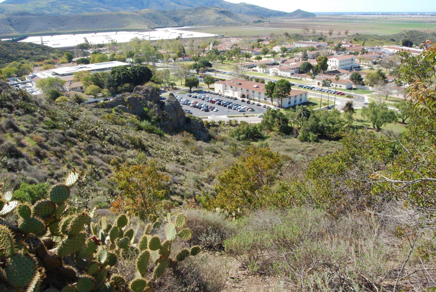 View from mountain with greenery and cactus on the bottom left with CSUCI buildings seen from a far